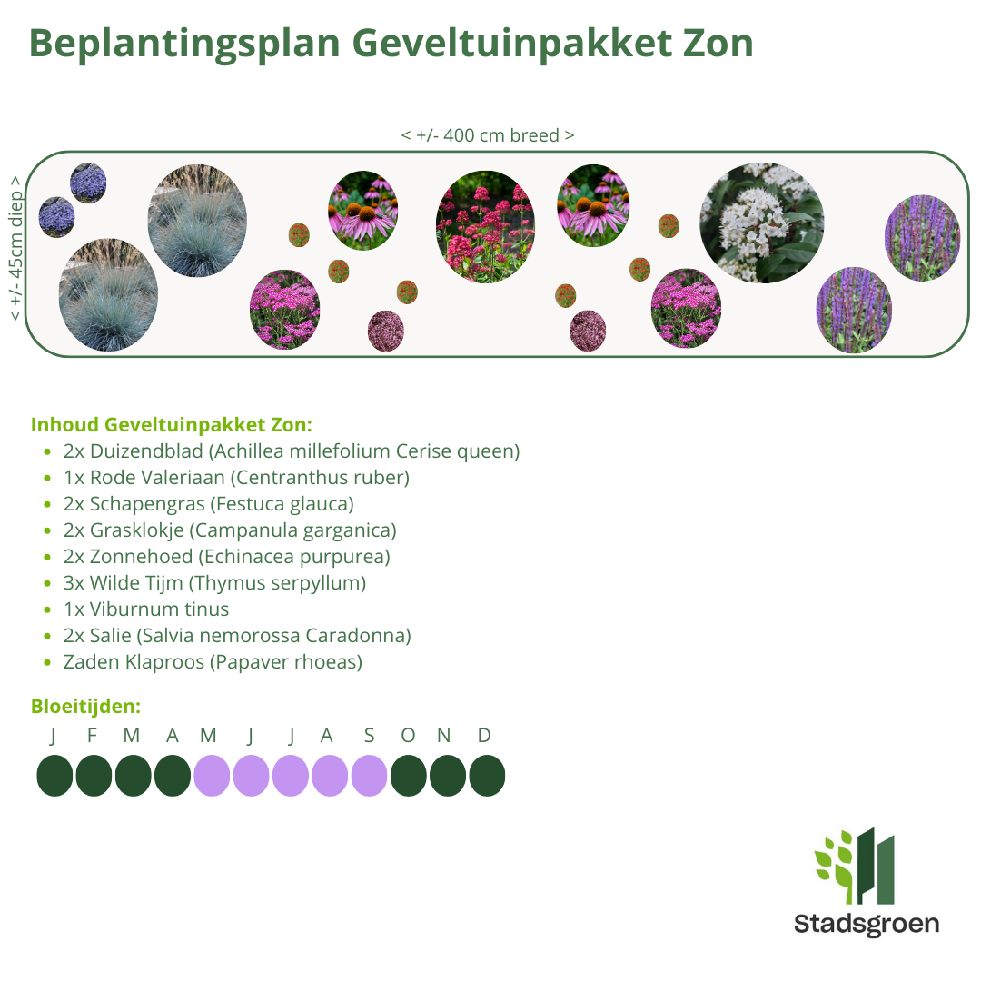 Geveltuin Zon
