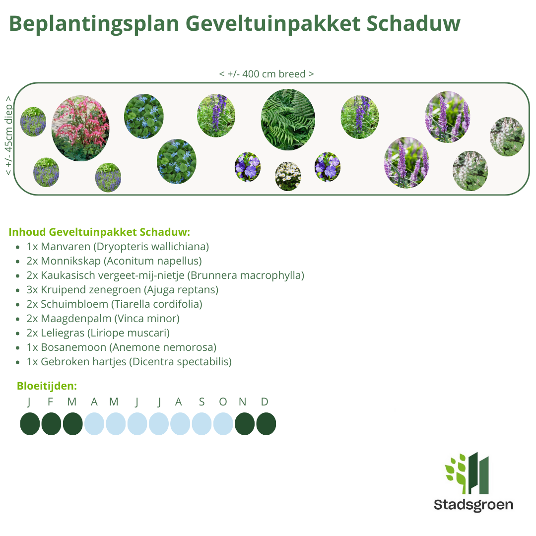 Geveltuin Schaduw